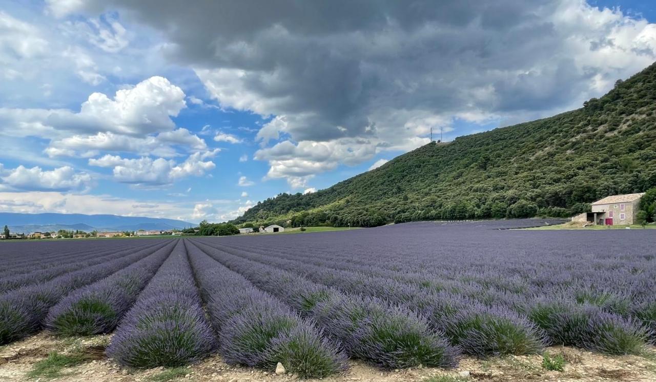 Gite La Maison Dans L'Olivette Oraison Eksteriør bilde
