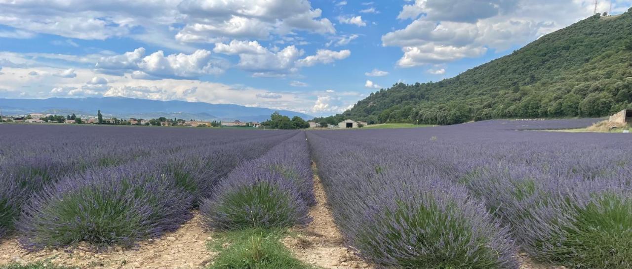 Gite La Maison Dans L'Olivette Oraison Eksteriør bilde